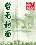 大唐荣耀第一季