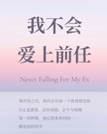 我不会爱上前任